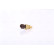 Temperature sensor **FIRST FIT**, Thumbnail 2