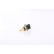 Temperature sensor **FIRST FIT**, Thumbnail 4