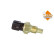 Temperature sensor