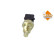 Temperature sensor, Thumbnail 2
