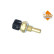 Temperature sensor