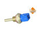 Temperature sensor