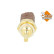 Temperature sensor