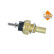 Temperature sensor