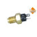 Temperature sensor