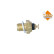 Temperature sensor
