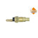 Temperature sensor