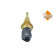 Temperature sensor