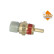 Temperature sensor