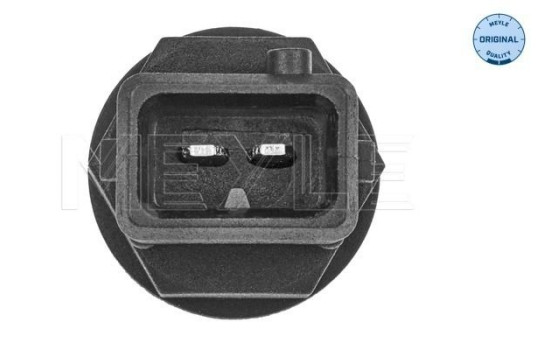 Temperature sensor, Image 2