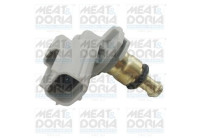 Temperature sensor