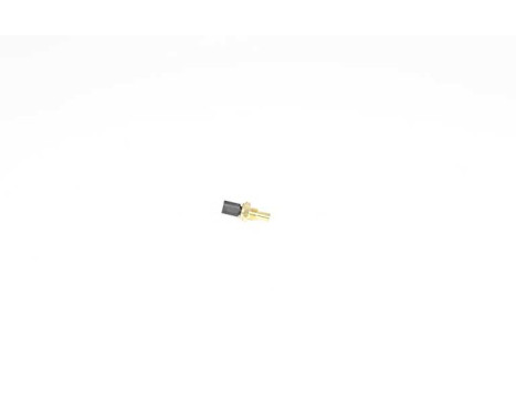 Temperature sensor