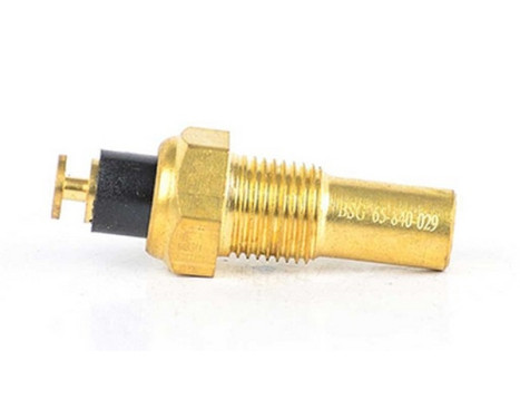 Temperature sensor