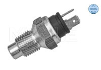 Temperature sensor