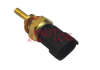 Temperature sensor
