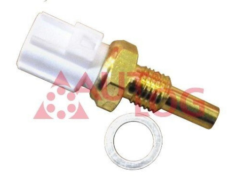 Temperature sensor