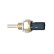 Temperature sensor