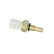 Temperature sensor