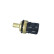 Temperature sensor