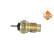 Temperature sensor