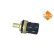 Temperature sensor