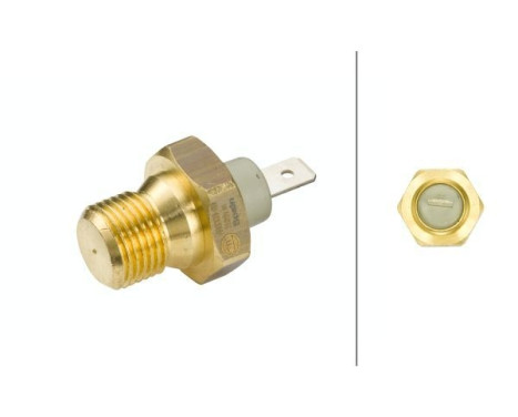 Temperature Switch, coolant warning lamp