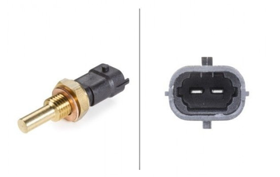 Sensor, coolant temperature