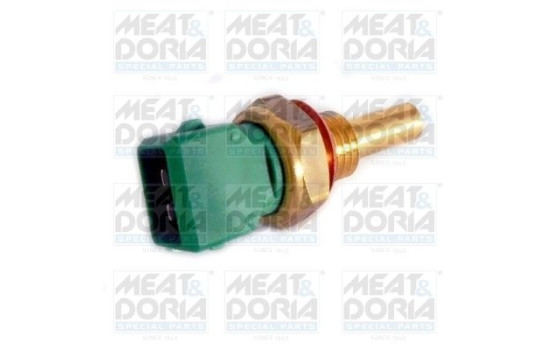 Sensor, cylinder head temperature