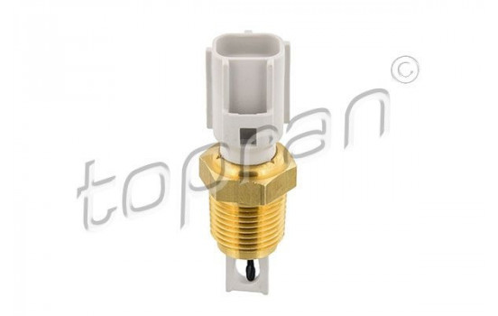 Sensor, intake air temperature