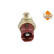 Temperature sensor
