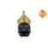 Temperature sensor
