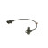 Crankshaft sensor DG Bosch