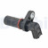 Crankshaft sensor SS12366-12B1 Delphi