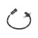 Crankshaft sensor, Thumbnail 3