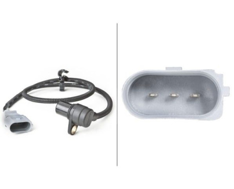 Sensor, crankshaft pulse 6PU 009 146-391 Hella