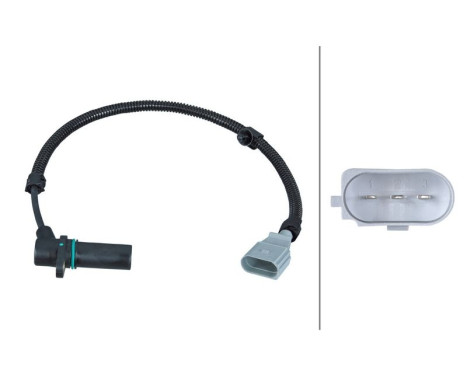 Sensor, crankshaft pulse 6PU 009 167-251 Hella