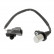 Sensor, crankshaft pulse ADT37209 Blue Print