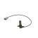 Sensor, crankshaft pulse DG Bosch
