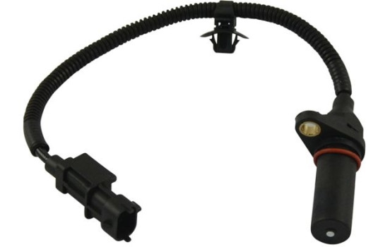 Sensor, crankshaft pulse ECR-3006 Kavo parts
