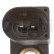 Sensor, crankshaft pulse SS10925 Delphi, Thumbnail 3