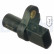 Sensor, crankshaft pulse SS11074 Delphi, Thumbnail 2