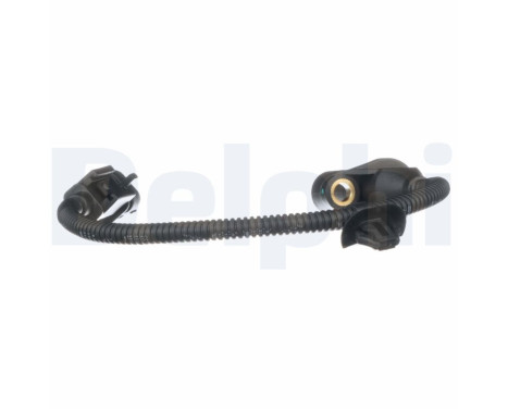 Sensor, crankshaft pulse SS11307 Delphi, Image 3