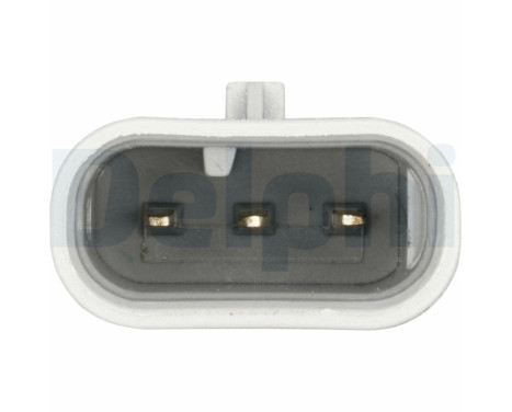 Sensor, crankshaft pulse SS11482 Delphi, Image 3