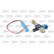 Sensor, crankshaft pulse