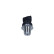 Sensor, fuel pressure, Thumbnail 2