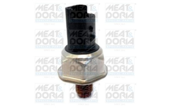 Sensor, fuel pressure
