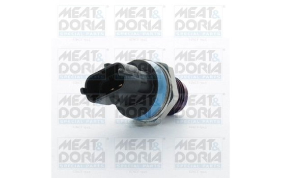 Sensor, fuel pressure