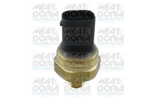 Sensor, fuel pressure