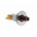 Sensor, fuel pressure, Thumbnail 6