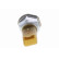 Sensor, fuel pressure, Thumbnail 11